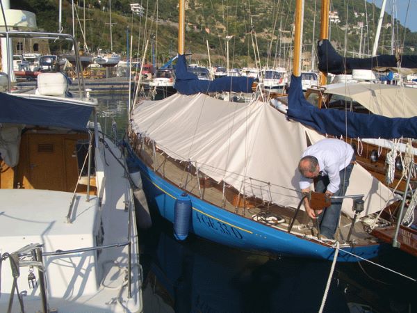 Cagnaro In Chiusura